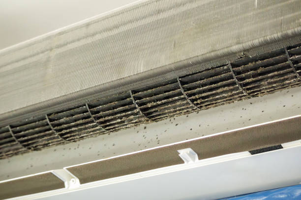 Best Affordable Duct Cleaning Services  in West Pasco, WA